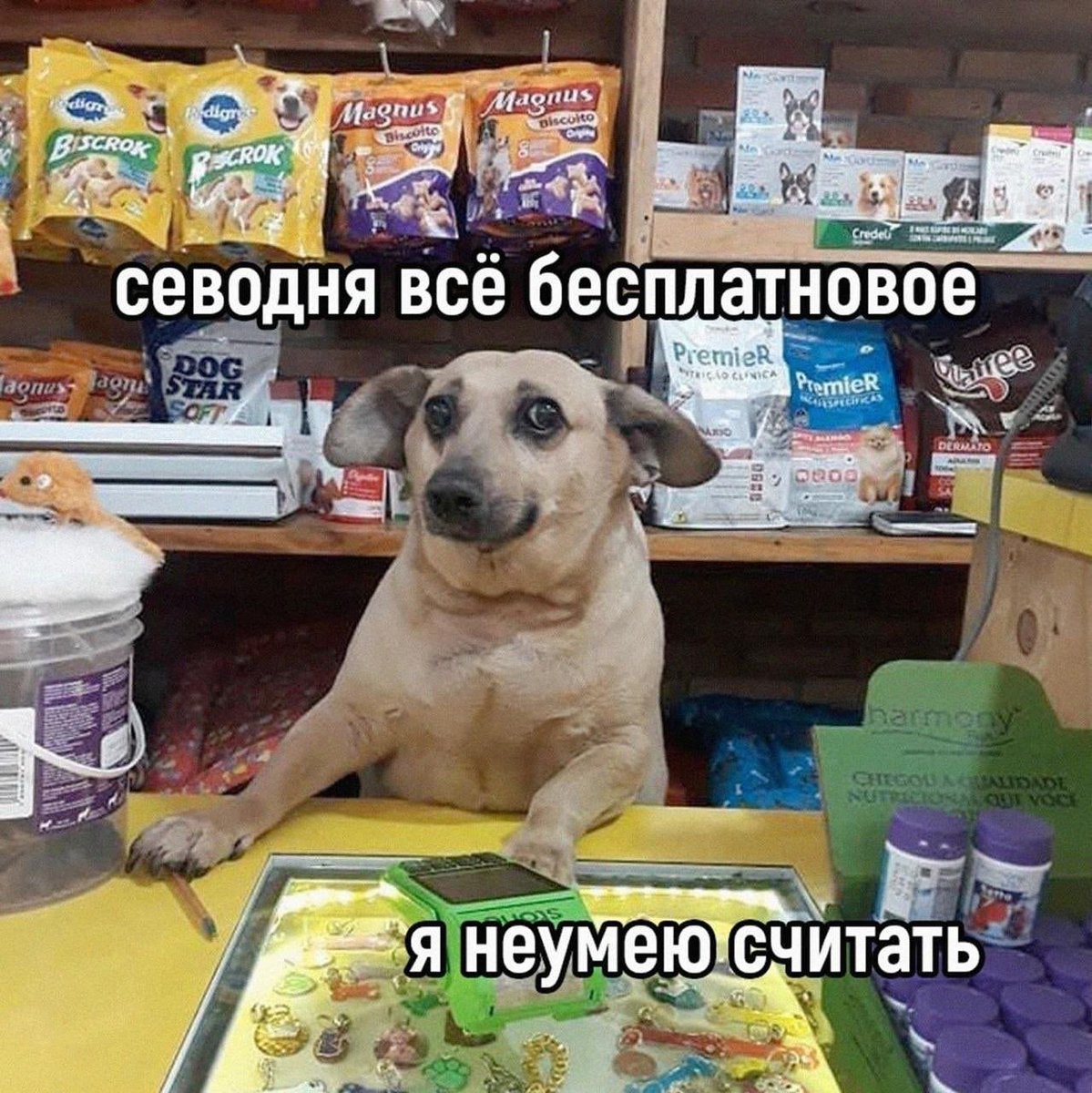RussianMemesLtd's tweet photo. everyphing is free tomday

I can't count https://t.co/JuxKKOsJWH