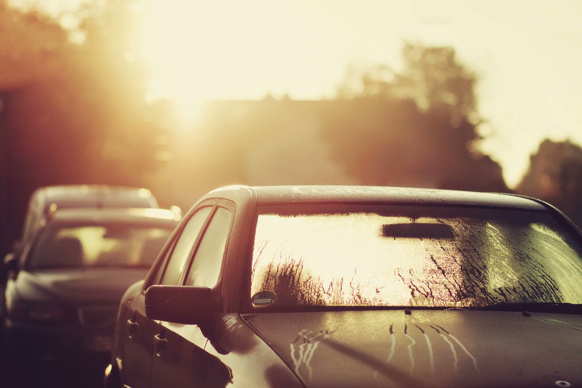 Temps are in the triple digits this week and cars are extra hot.🔥 
Remember to store your birth control and condoms in a cool dry place for safe-keeping. If you forget them in the car, don't risk it. Call us TODAY to refill your methods. 

314-747-0800 
#birthcontrol