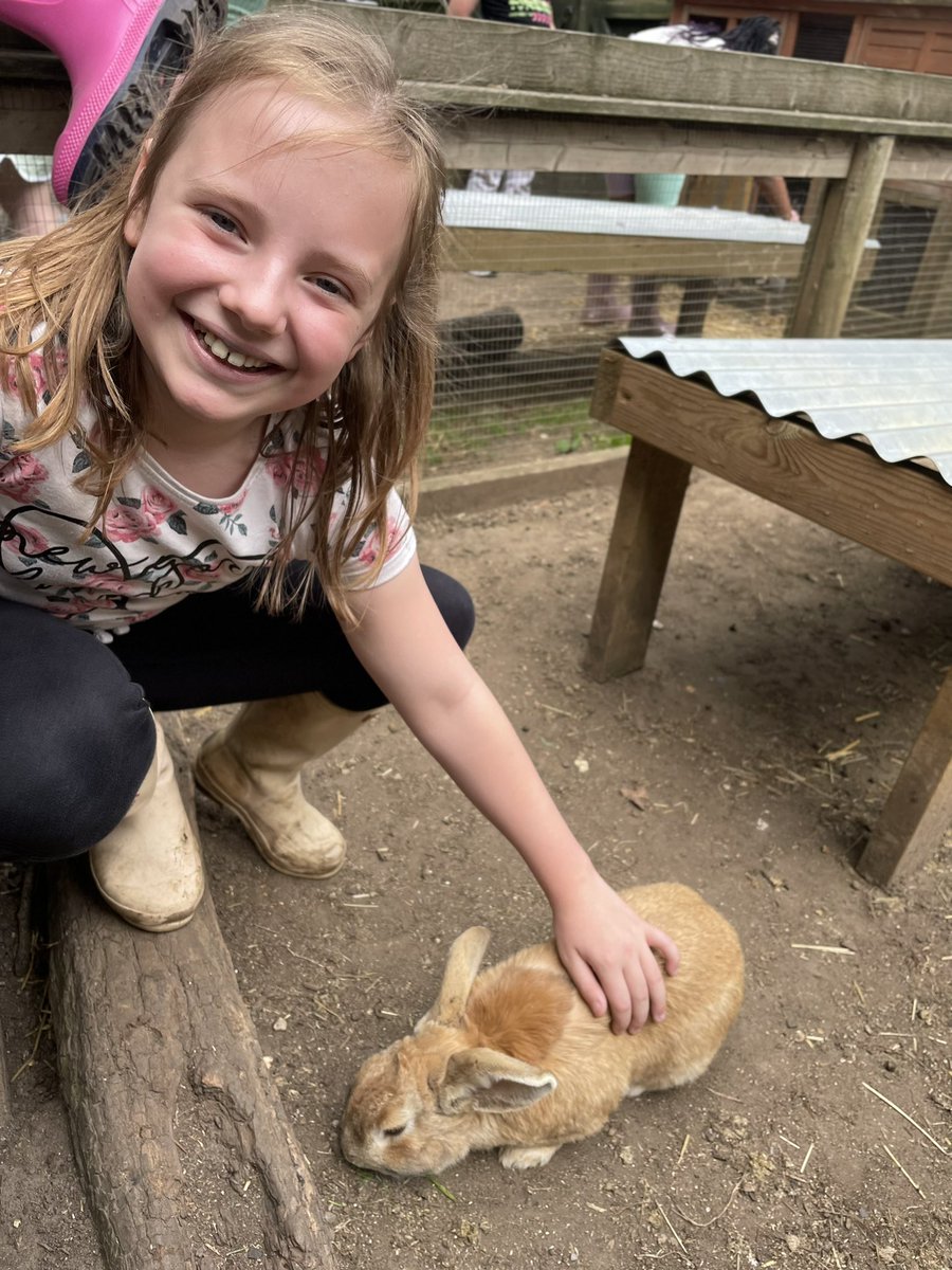 The sun is shining for us today! 🌞 Year 5 set off for their week away to get immersed into the forest life style. We loved meeting all of the animals today and we’re looking forward to gladiator training tomorrow! <a href="/WoodhillSch/">Woodhill Primary School</a>