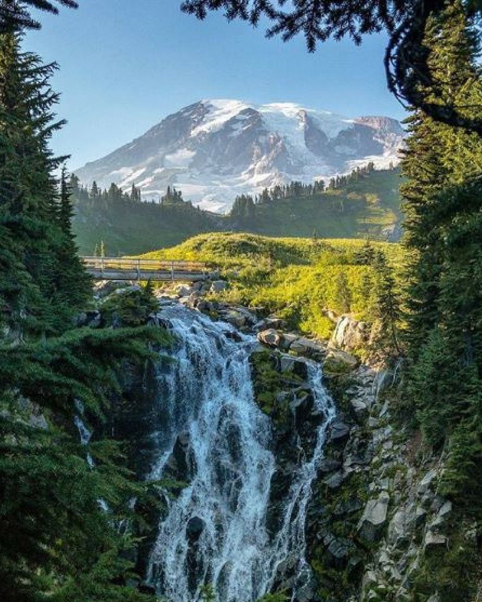 DiscoverRainier's tweet photo. #ParadiseInn and #NationalParkInn want you to stop waiting to plan your next #vacation to #MountRainier. It starts TODAY! Book your trip on our website: https://t.co/dTGAqmaDCr
π·@ whoismatt https://t.co/4CIOyxRTKu