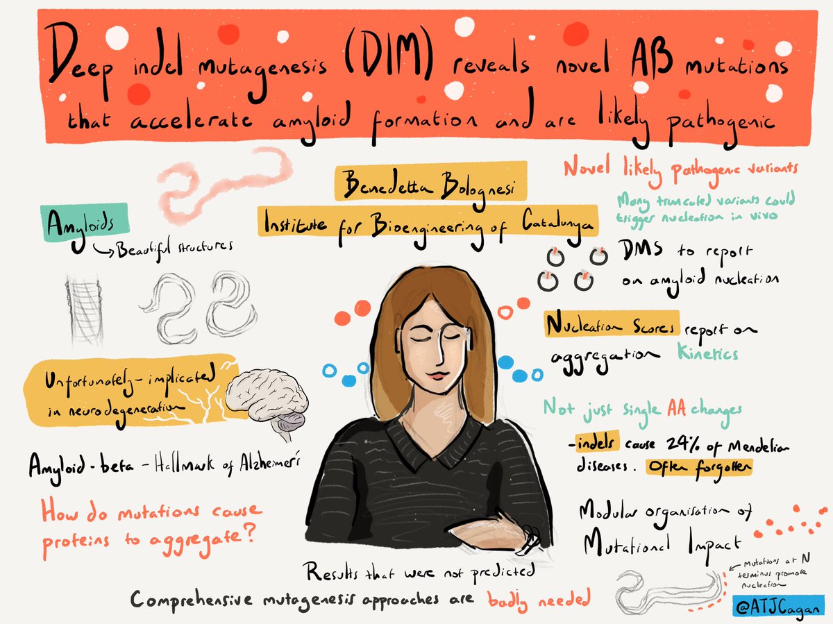 ATJCagan's tweet photo. Benedetta Bolognesi on deep indel mutagenesis reveals novel Amyloid beta mutations that acceleration amyloid formation and are likely pathogenic #varianteffect22 https://t.co/qRBunq495Q