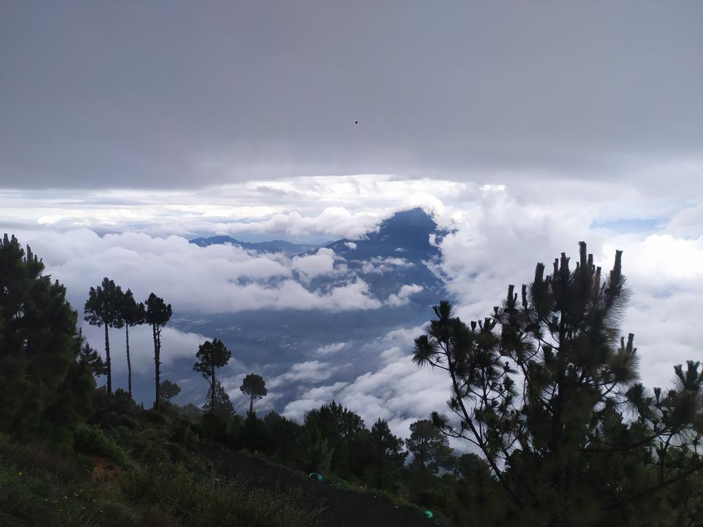 SLY Elpi ⚔️🏸🃏 tweet media