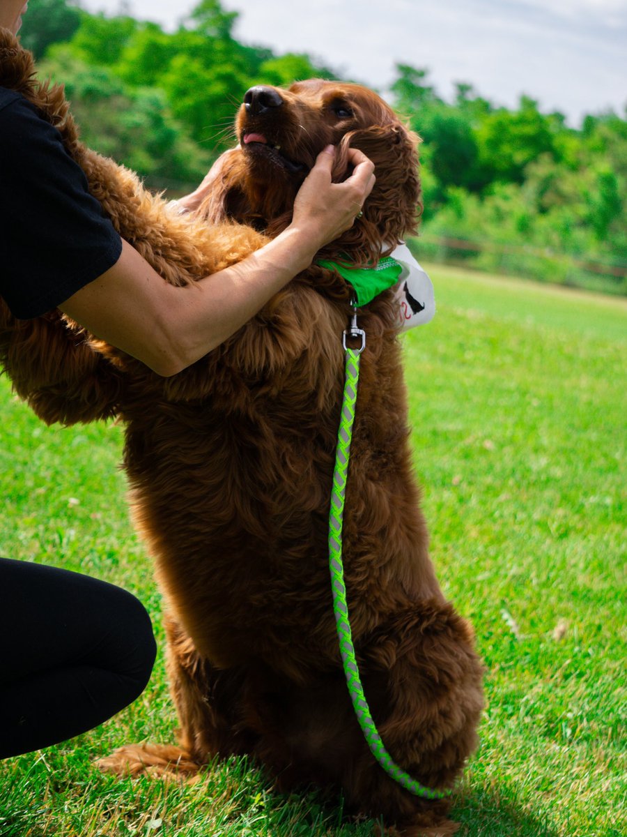 CraftyPhotos's tweet photo. @selishots I’ve never seen such a photogenic dog in person! 😁 https://t.co/82lkHq0PAv