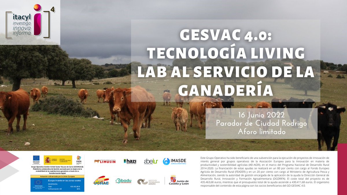 GesVac 4.0: tecnología living lab al servicio de la ganadería. Jornada en Ciudad Rodrigo

📅16 de junio
✍️ow.ly/UBbX50JjjbF 

#ITACyL <a href="/gesvac/">GESVAC 4.0</a> <a href="/cobadu_coop/">Cobadu</a> <a href="/hazifundazioa/">Hazi Fundazioa</a>  #FECL #uchae #imasdeagroalimentaria #abelur #InnovaciónALaCarta #I4