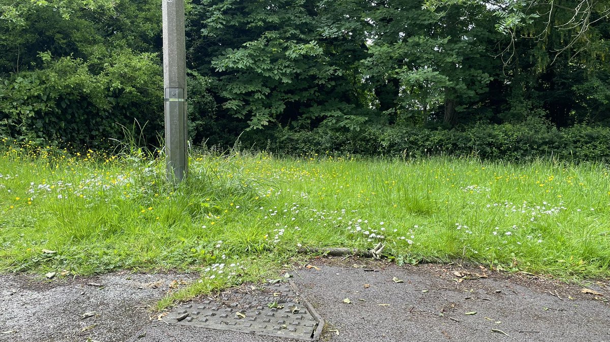 amyja83's tweet photo. @TamesideCouncil this is the current state of the grass verges and public pathway on Stalyhill drive in stalybridge. What happened to the regular maintenance? It looks atrocious. Surely our council tax covers this? Not acceptable. https://t.co/whuFHEWWo5