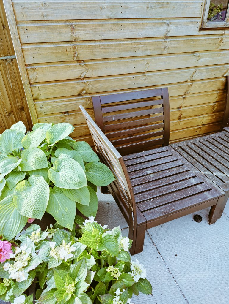 OliveWhiteArch's tweet photo. Luckily hostas are fans of ash after #Birmingham woke up to a blanket of the stuff after a major incident broke out @smurfitkappa plant. 8,000 tonnes cardboard π₯
Glad there were no casualties thanks to @WestMidsFire #airquality #CAZ #bhamcouncil #smurfitkappa https://t.co/QgkvOmKB85