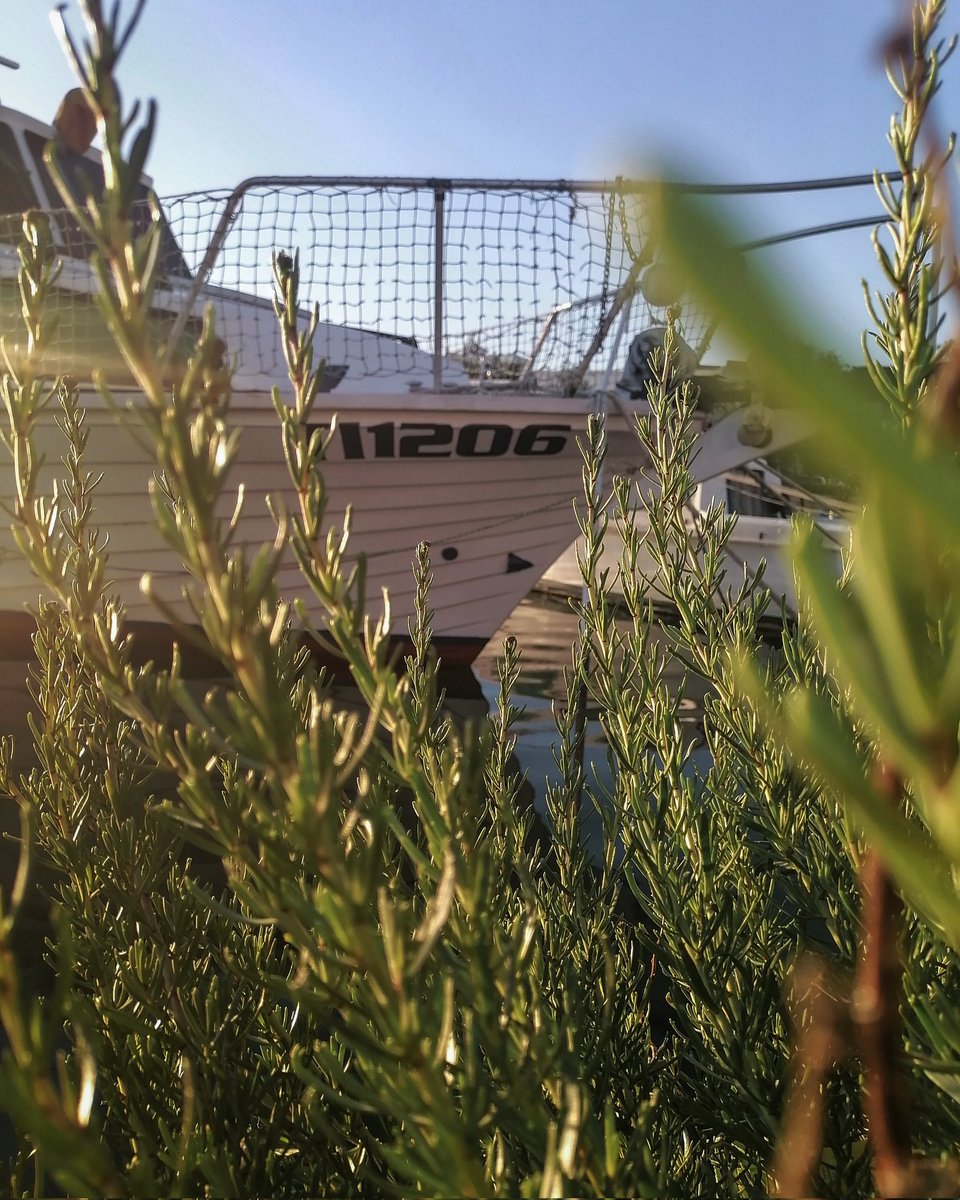 Lovre Lovrincevic tweet media