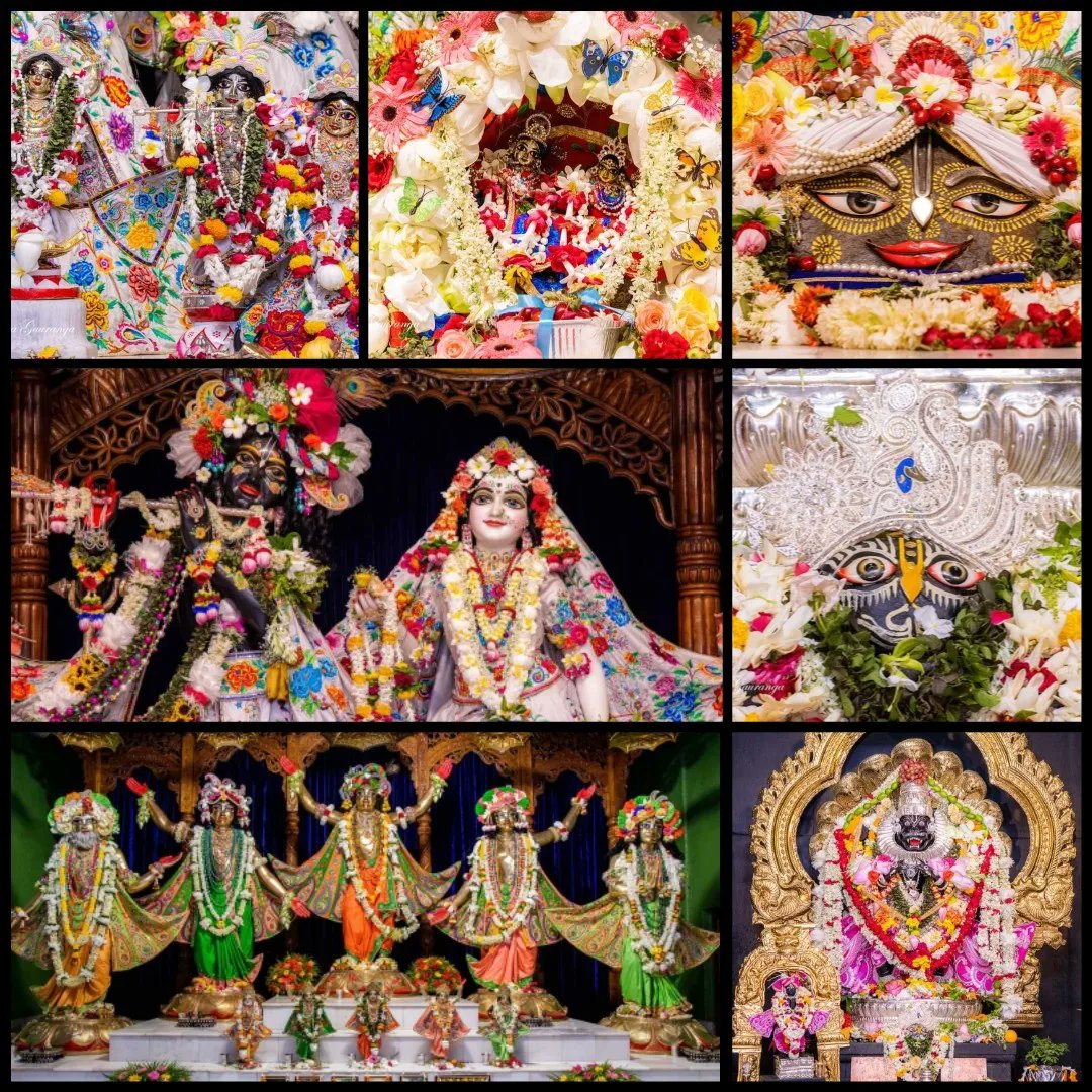 vrajaviharinis's tweet photo. 🤩😍DAILY DARSHAN😍🤩
(Iskcon Vrindavan)
(Iskcon Mayapur)
(Iskcon Pune)
(Iskcon Kolkata)
#lordkrishna #srimatiradharani #panchatatwa #jaijaganathdev #jaisubhadramaharani #jaibalaramdev #dailydarshan #auspicious #beauty #jaigaurnitai #jaigirirajbhagvan #jaisrinrishangadev #Iskcon https://t.co/AL9jZInORs