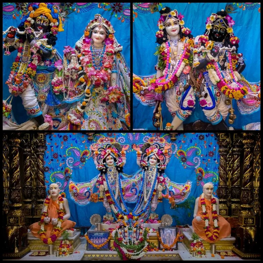 vrajaviharinis's tweet photo. 🤩😍DAILY DARSHAN😍🤩
(Iskcon Vrindavan)
(Iskcon Mayapur)
(Iskcon Pune)
(Iskcon Kolkata)
#lordkrishna #srimatiradharani #panchatatwa #jaijaganathdev #jaisubhadramaharani #jaibalaramdev #dailydarshan #auspicious #beauty #jaigaurnitai #jaigirirajbhagvan #jaisrinrishangadev #Iskcon https://t.co/AL9jZInORs