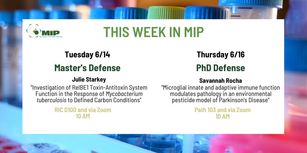 CSU_MIP's tweet image. This Week in #MIP - ✨ 2 Graduate Defenses✨

#Defense #Toxin #Antitoxin #Mycobacteria #Tuberculosis #Pathology #Parkinsons #ParkinsonsDisease #GraduateResearch #CSUResearch