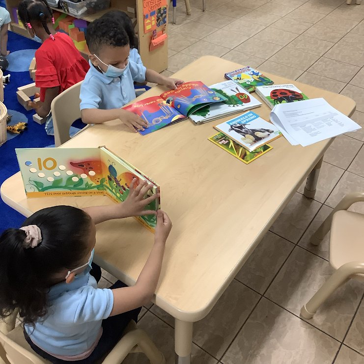 We are learning about animals! 
The children are looking at books and pictures of animals to explore and discuss. 
#playfuldiscoveriescdc #3k #animalexploration #learningaboutanimals #learninganddevelopment