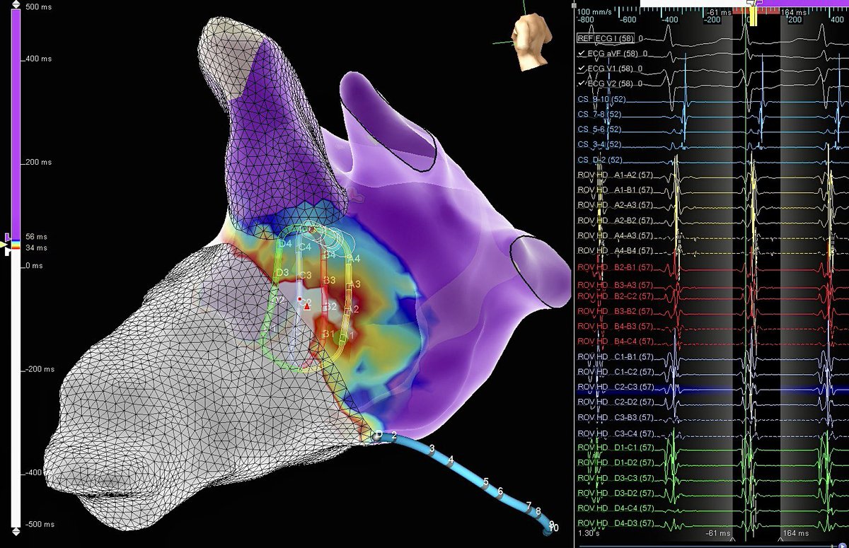 Al Pateqi tweet media