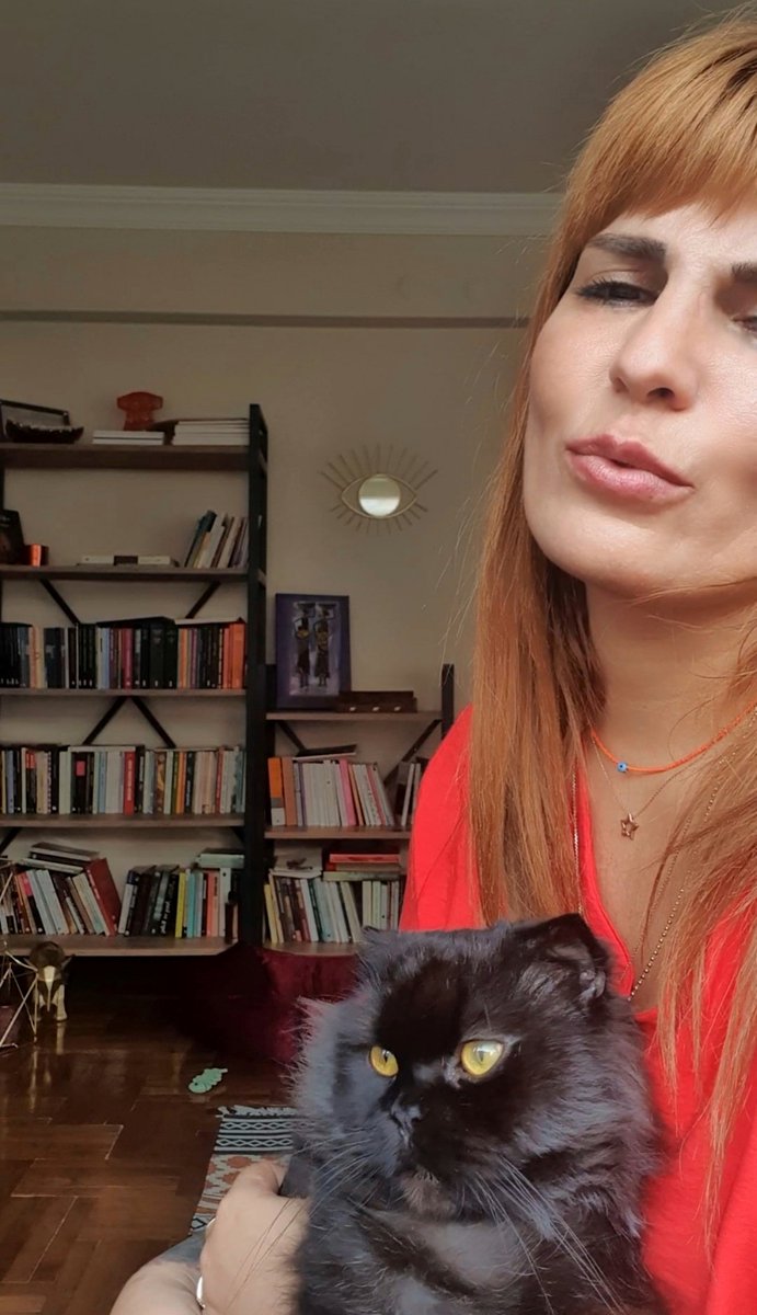 gizosantrik's tweet photo. Seviyorum ulen💜🐈 #oreothecat https://t.co/OoYsUP1dlW