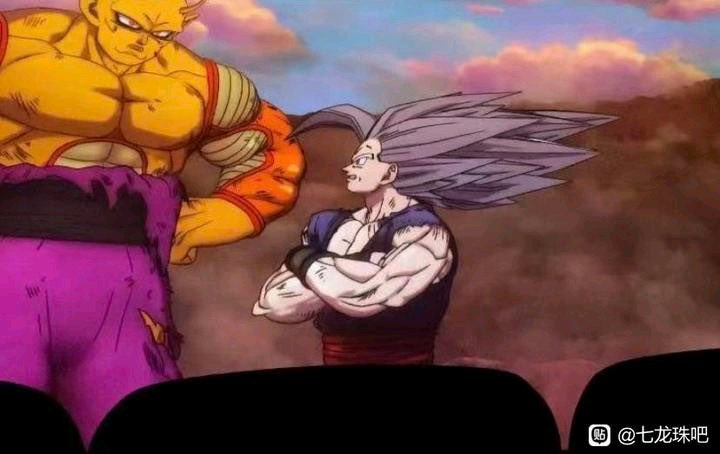 Cani Offices tweet media