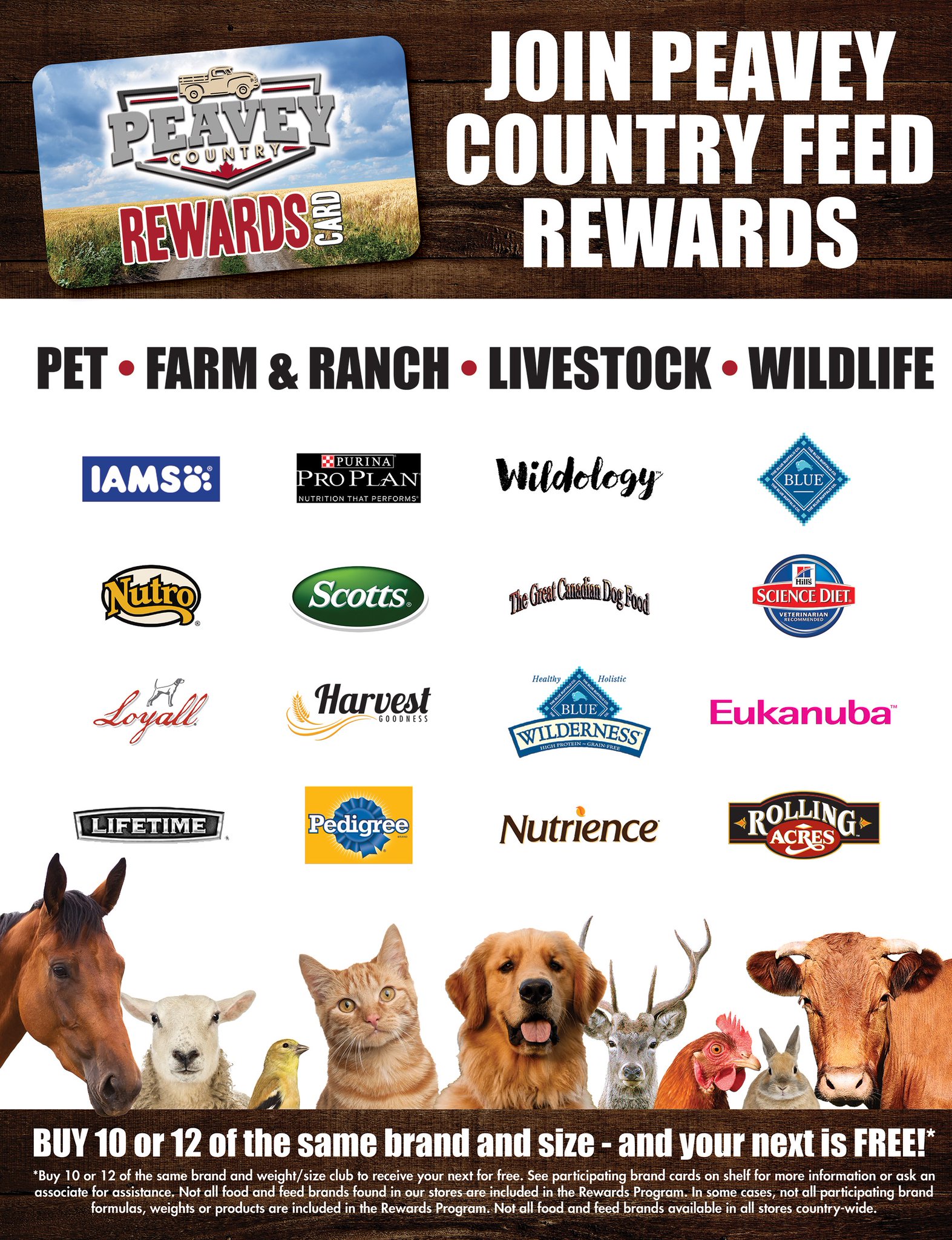 High country best sale pet and feed