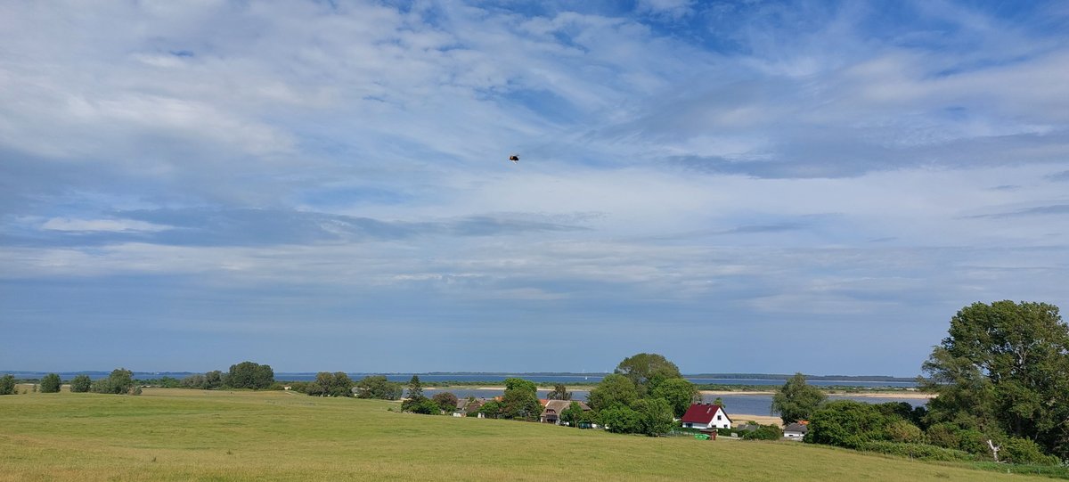 Hiddensee: Alter Bessin mit Blick auf den Dornbusch und Blick auf Grieben mit Hummel in der Bildmitte 🐝
