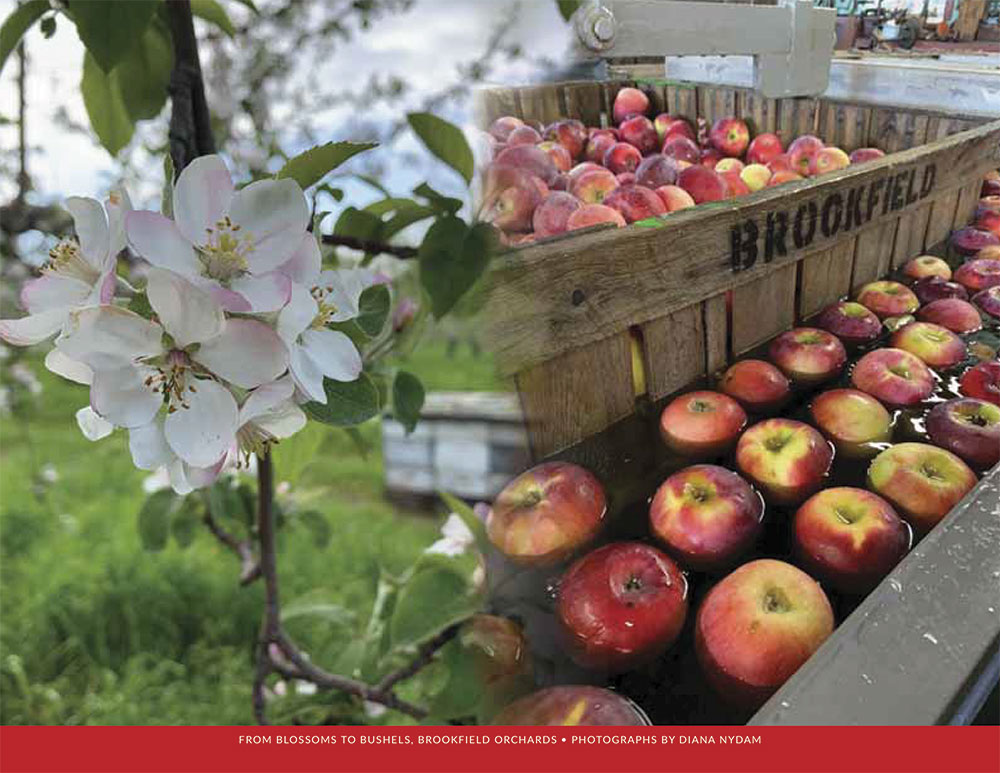 MassAgInTheClassroom tweet media