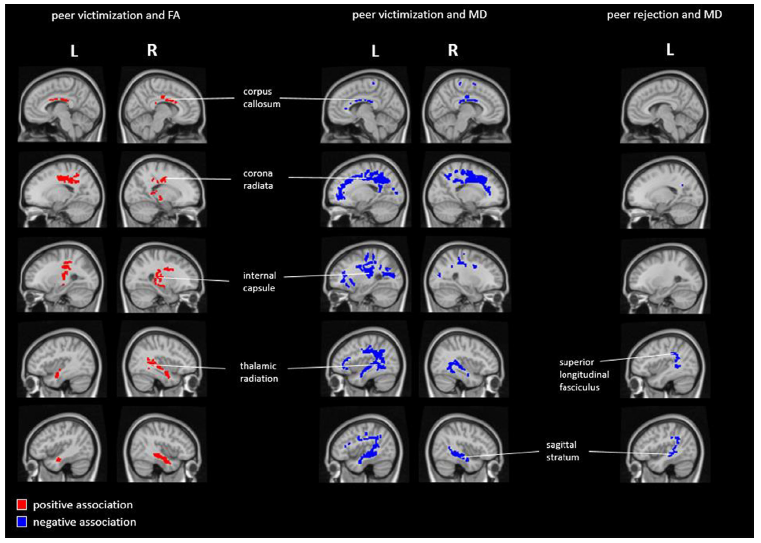 RHMulder tweet media