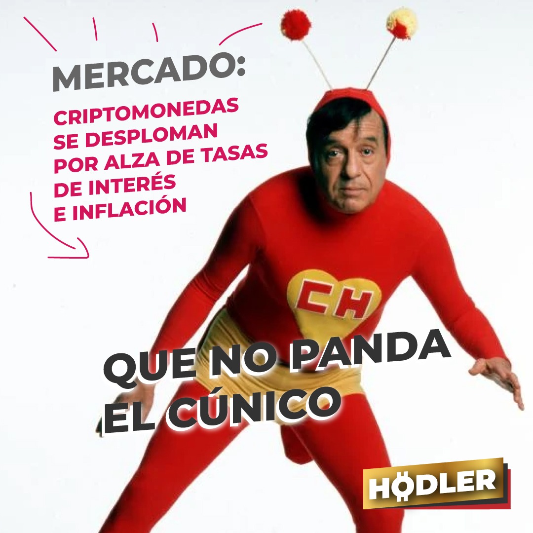 SoyHodler's tweet image. ¿Cuántos así en este momento?
😂😂😂😂😂

#MemesCripto #Criptomonedas #Bitcoin #criptomemes #Trending #BitcoinCrash #ETH #Etherum #Criptomonedas #criptocrash #BTC #Cryptocrash #Bitcoin2022