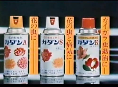 初見健一 黒い斑点 黒星病 白いカビのうどんこ病 かっぱん病は葉を枯らすのです カダン カダン カダン お花を大切に というような記憶はいらない 使い道がない 一銭にもならない T Co Hbqhmdawpi Twitter