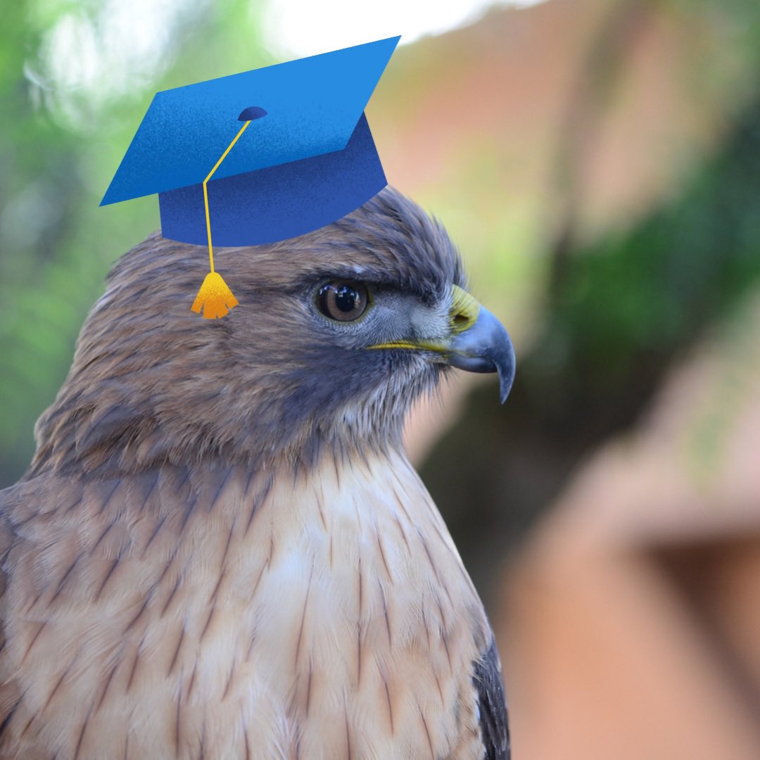 BioDivDay's tweet image. Happy graduation, Aggies!

Everyone at UC Davis Biodiversity Museum Day wishes all of the graduating seniors the best on their future endeavors. Congratulations!

#UCDavis #BiodiversityMuseumDay
