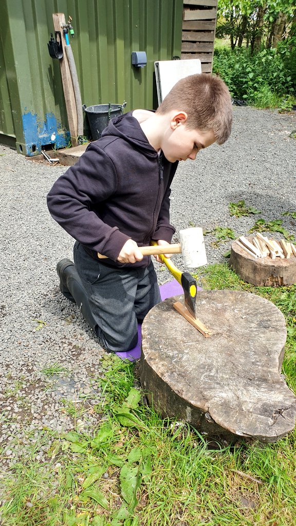 Phoenix Class - Connolly School Campus tweet media