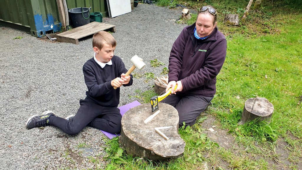 Phoenix Class - Connolly School Campus tweet media