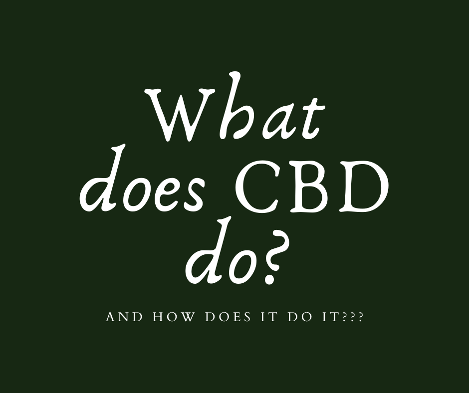 Such a simple question, but most people don't know the answer. Some would ask, what doesn't CBD do? For more info on this topic check out this blog thecbdedshow.org/2022/02/cbd-fo…
on our website. #cbd #cbdbenefits #cbdoil #cbdtopicals #cbdvape #cbdforpets #cbdedibles #cannabinoids