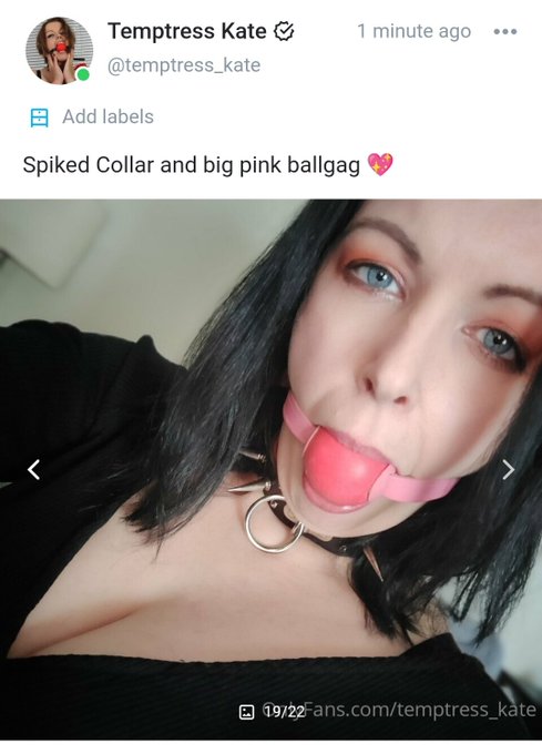 Just updated my @onlyfans with some pics! #collar #ballgagged #ballgag #GaggedWomen #cleavage  https://t