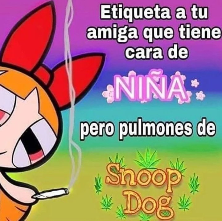 El Paragua Venenoso tweet media