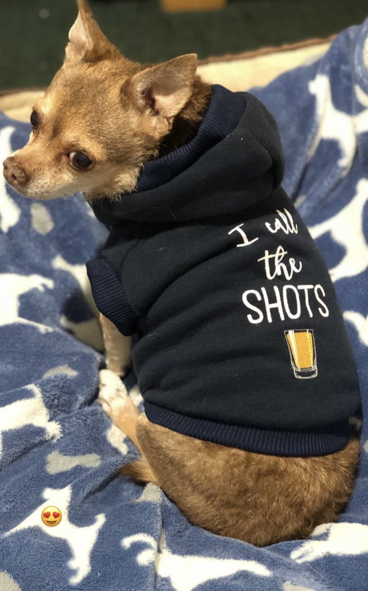 lovely_dee96's tweet photo. PJ, 

My first best friend. My roll dawg. My chicken nugget lover. You have left your pawprint in my heart forever ❤️ I know you’re eating all the nuggets you can in doggy heaven! 🌈 I love you, PJ 🫶🏽 https://t.co/K0S7AKANnI