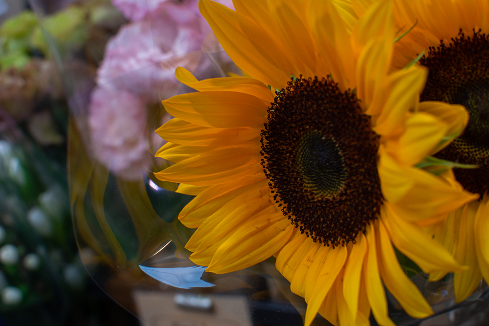 花と緑のお店 Greenmind Pa Twitter 今日のおすすめ ひまわり 成城学園前 祖師ヶ谷大蔵 千歳船橋 世田谷の花屋 土曜日にご自宅へ草花を届けています 詳しくは T Co Sfhtf63i2h T Co Rsqrhvdmz0 Twitter