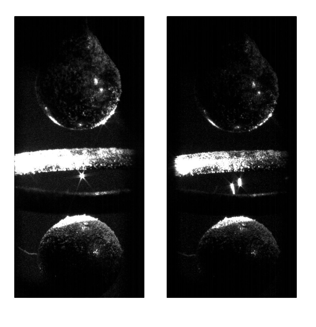 ctschmiegelow's tweet image. 📢📢Búsqueda de postulantes a beca interna doctoral de CONICET, a presentarse en el llamado 2022!

Si sos físicx y te gustaría hacer tu doctorado desarrollando ❄️métodos de enfriamiento de nanocristales levitados❄️ estamos aceptando  postulaciones hasta ⌛ el martes 21 de Junio‼️