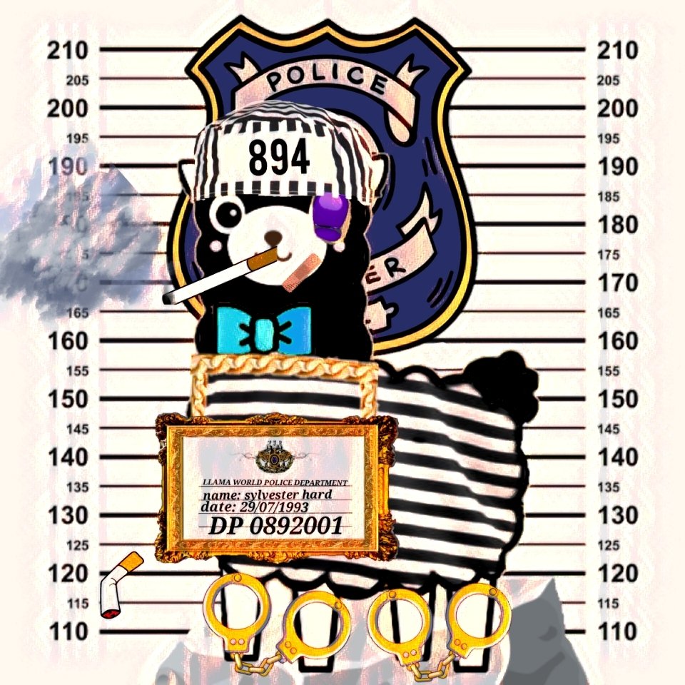 World Of Cute llamas NFT tweet media