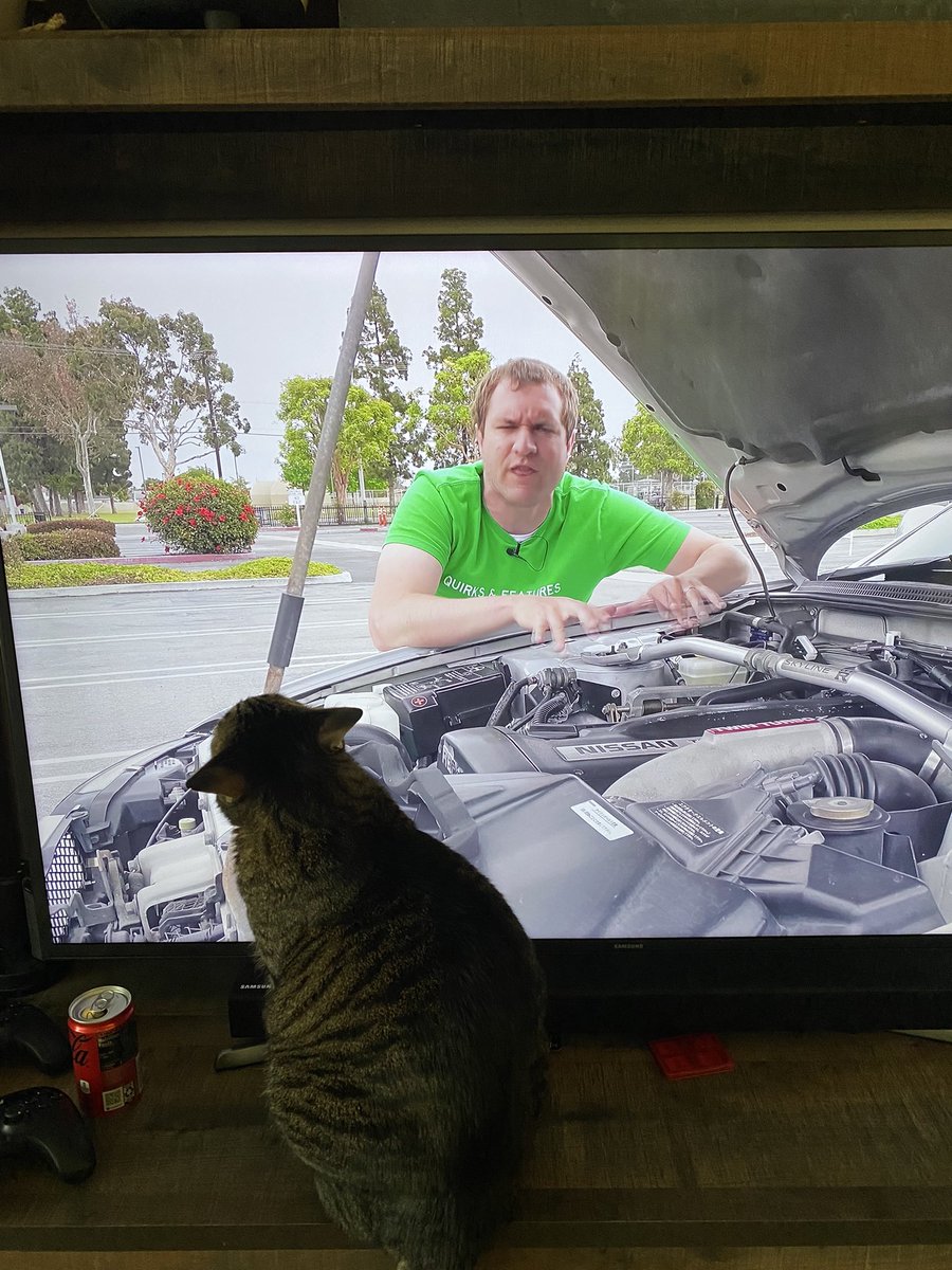 My cat loves watching <a href="/DougDeMuro/">Doug DeMuro</a>