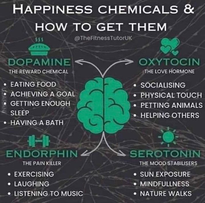 pamadkisson's tweet photo. PSA: 😁. “I appreciate this #happiness “cheat sheet” found.  All this, plus #mindset makes for a happy, beautiful Life!” #serotoninn#dopamine #oxytocin #endorphins #ThoughtsareThings #IntoOut #Lifehacks photo credit: #Unsplash https://t.co/YLPh3Gph52
