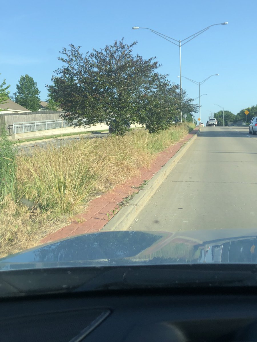 Dennis Vollrath tweet media