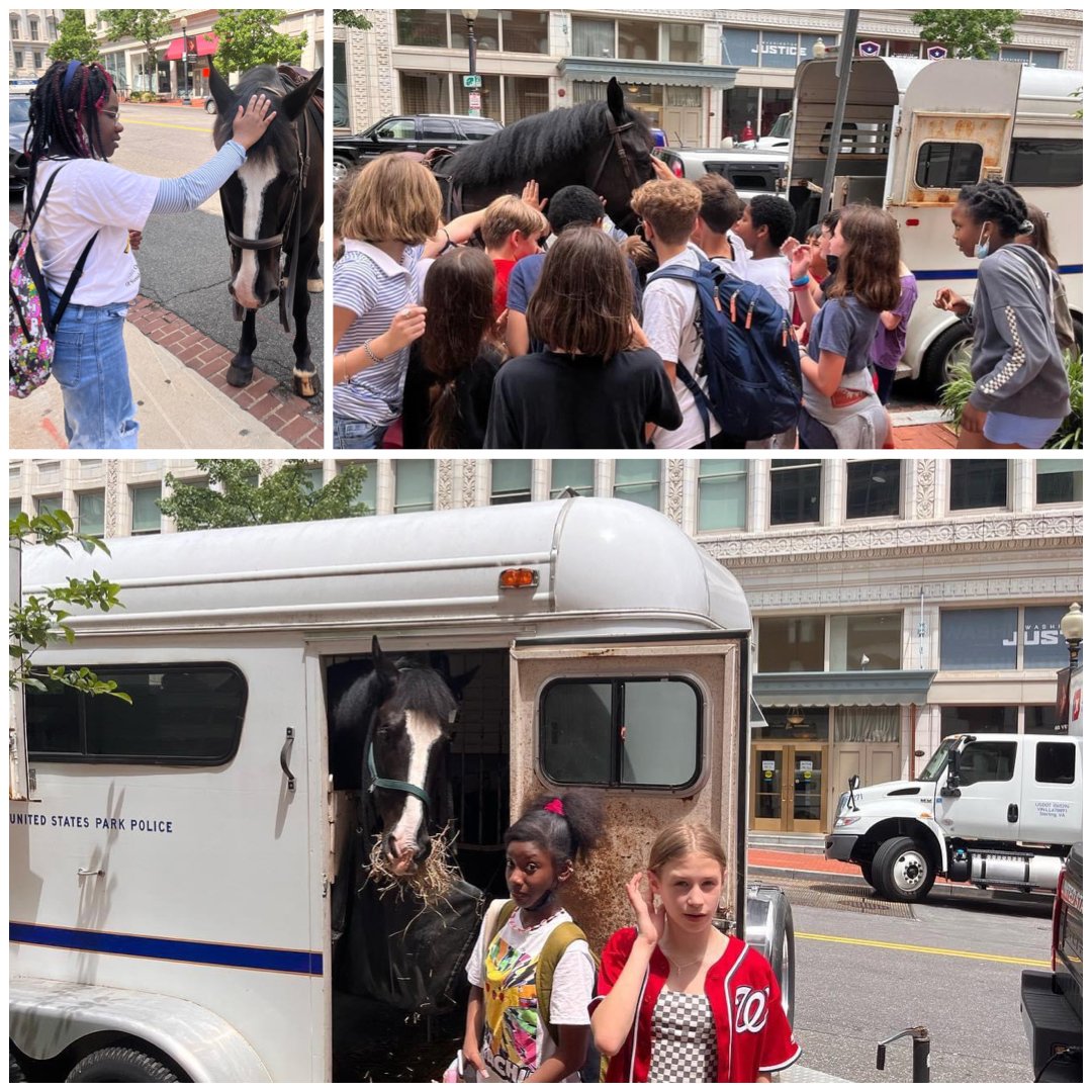 BASISed's tweet image. BASIS DC may be one of our few campuses that is still in session, but a special visitor is helping the Red Giants pull through their finals prior to summer break!