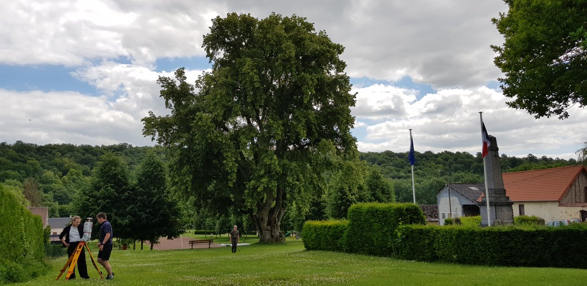 EkoLogIt's tweet image. A very curious audience attended the #CoolTree fieldwork campaign this afternoon 🐄😂 Nice day w/ Karlien, @HaesenStef, @f_spicher et al. scanning crazy big &amp;amp; old trees north of Amiens 😍 Check the two tilia trees below, one is +300 yr old &amp;amp; the other is +600 yr old 🤩
