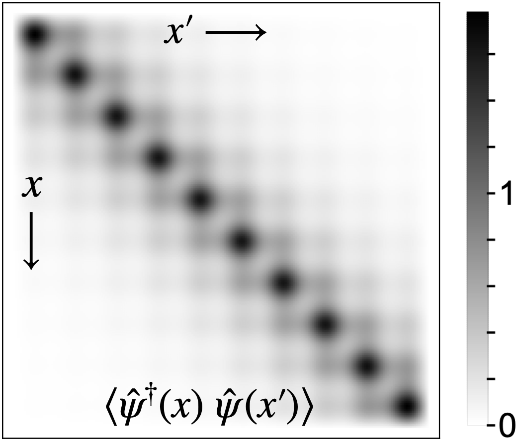 ShovanDutta20's tweet photo. Check out this highlight on our recent paper on applying DMRG to simulate strongly-interacting quantum systems in the continuum: https://t.co/6KfkOhJwg6 https://t.co/l6CtHK1oHv