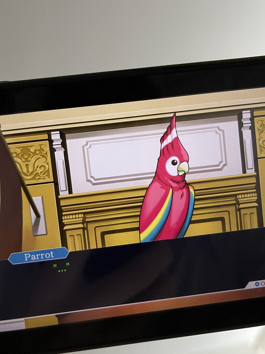 tomalexhelm's tweet photo. Tfw ur pet bird’s in contempt of court https://t.co/NALAE1NZaH