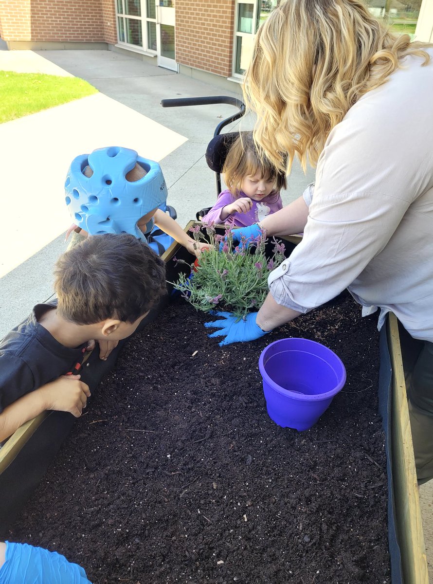 SchoolMcgivney's tweet photo. Class 2 explored the dirt in their planter box using shovels prior to planting some herbs and vegetables in it #fdk #planting #inquiry #outlearning @WiragJenny https://t.co/n5faAEjObS