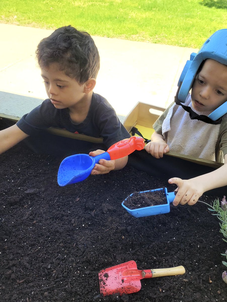 SchoolMcgivney's tweet photo. Class 2 explored the dirt in their planter box using shovels prior to planting some herbs and vegetables in it #fdk #planting #inquiry #outlearning @WiragJenny https://t.co/n5faAEjObS