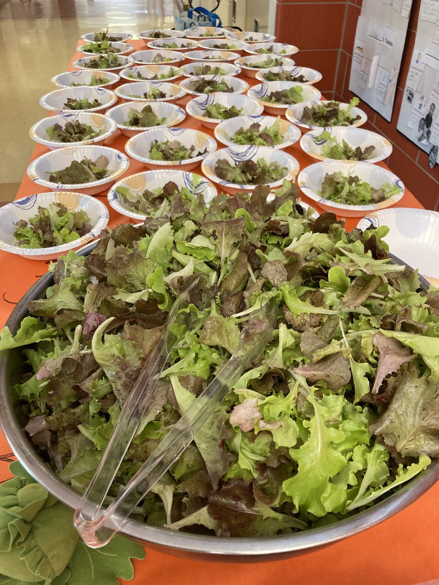 ANSgina's tweet photo. Hurray for the Flora Singer students that harvest their lettuce today and we had and awesome Salad 🥗 party! Proud and accomplished 2nd graders 🙂
 @ANSGreenKids @SingerPTA https://t.co/NwcpjkSFTH
