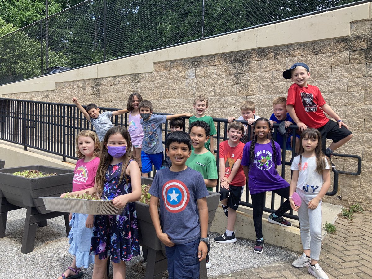 ANSgina's tweet photo. Hurray for the Flora Singer students that harvest their lettuce today and we had and awesome Salad 🥗 party! Proud and accomplished 2nd graders 🙂
 @ANSGreenKids @SingerPTA https://t.co/NwcpjkSFTH