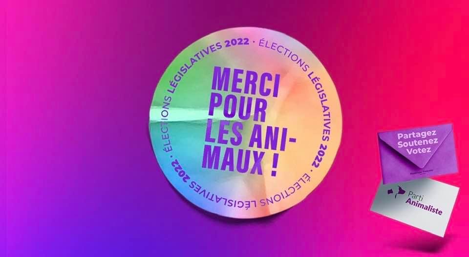 Merci aux 797 personnes (1,52%) qui ont choisi de soutenir le @PartiAnimaliste dans la 5e circonscription de la Haute-Garonne #circo3105. En progression de 30% par rapport à 2017 💪. J'espère que le ou la prochaine député.e entendra nos voix