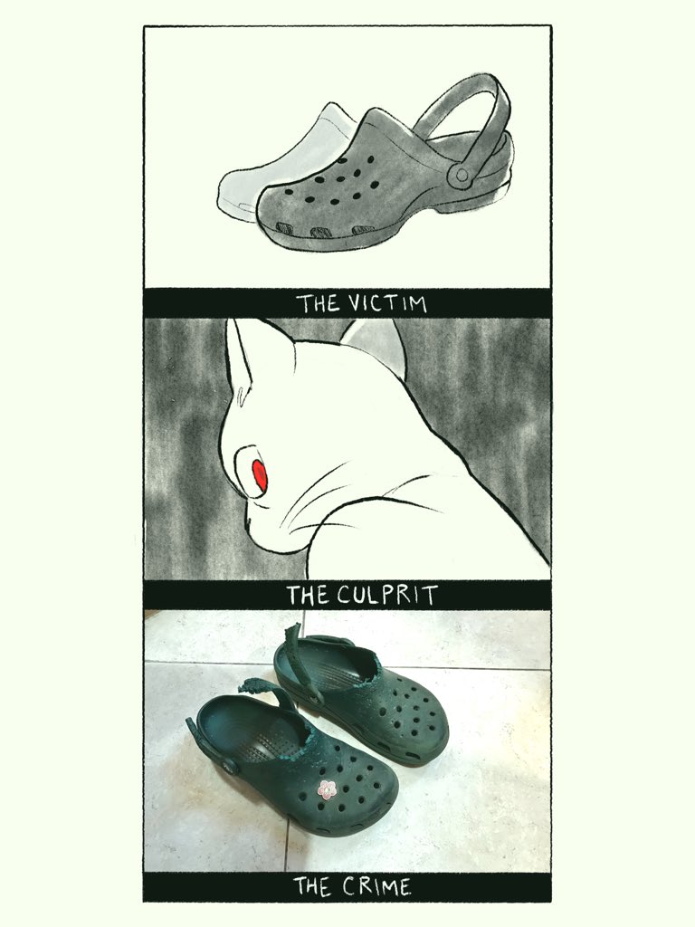 why are crocs so expensive 
