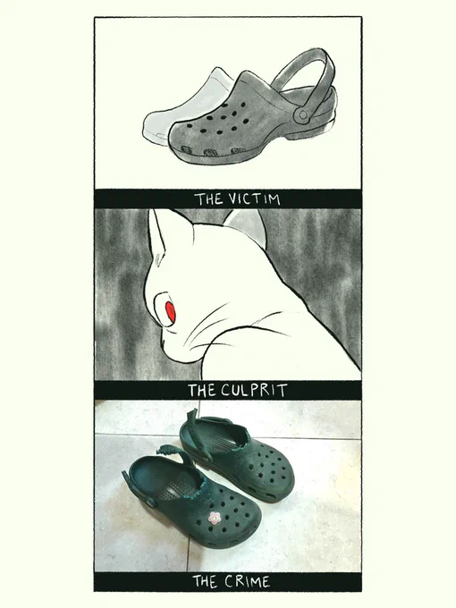 why are crocs so expensive 