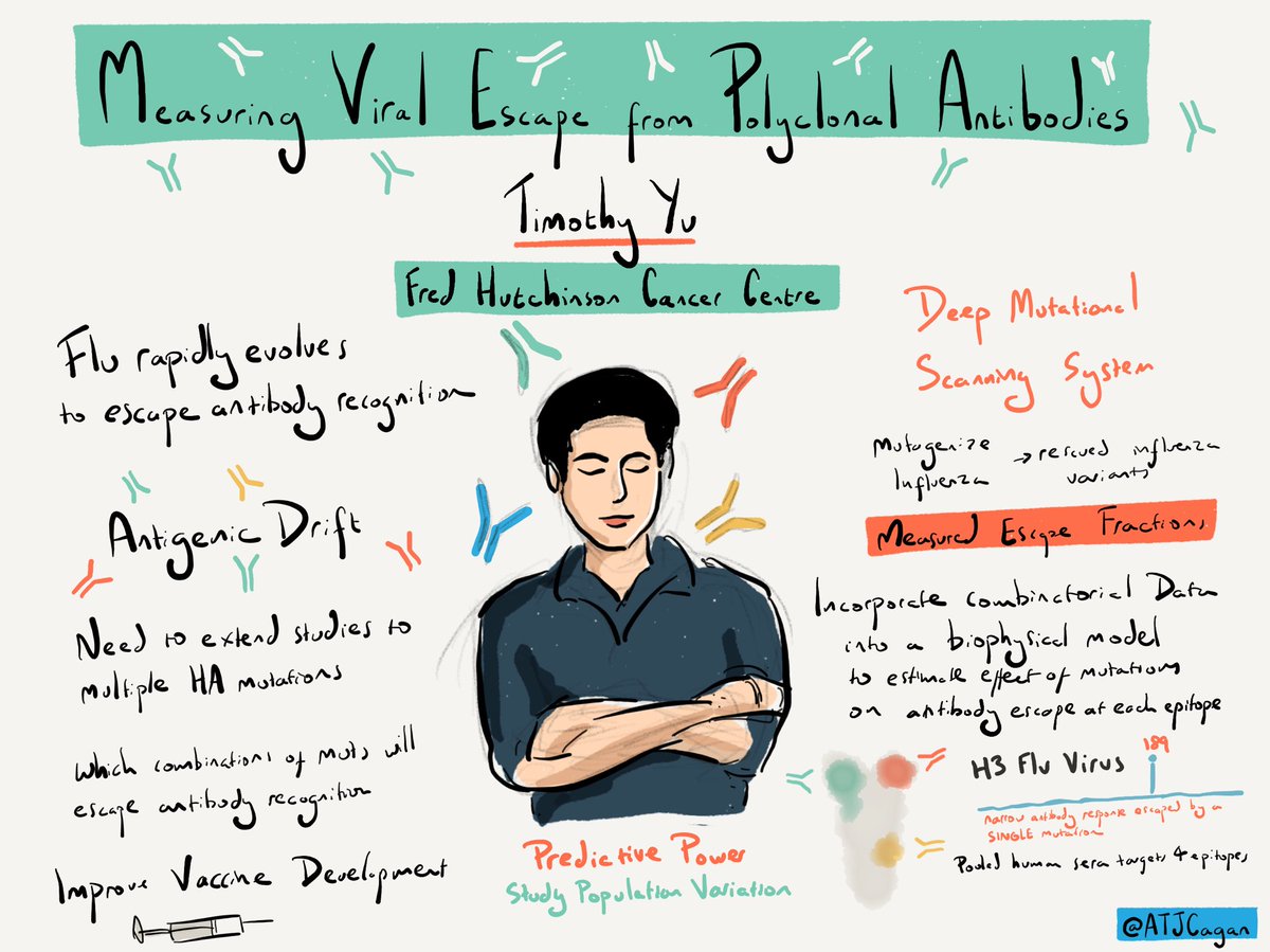 Timothy Yu on measuring viral escape from polyclonal antibodies with implications for vaccine development #VariantEffect22