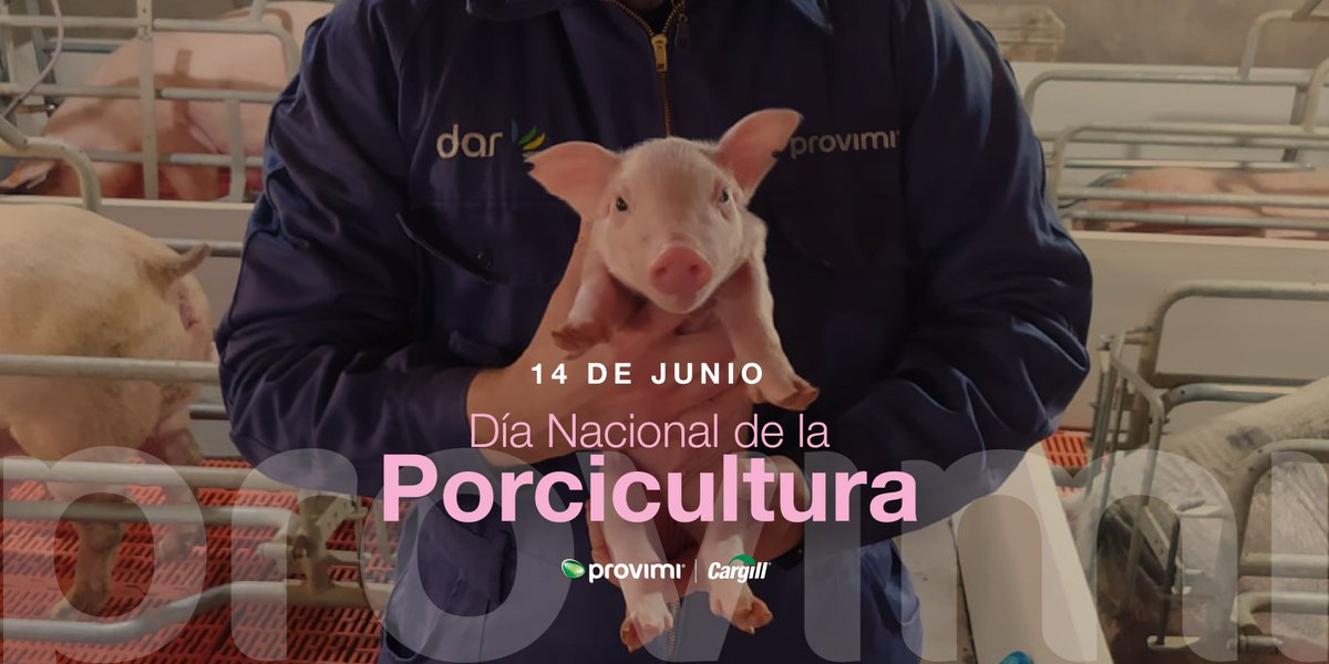 provimiarg's tweet photo. En el día nacional de la #porcicultura 🐷🐷🐷 Saludamos a todos los que contribuyen a este sector en constante crecimiento, procurando brindarles #bienestar a los cerdos con una adecuada #nutrición y cuidado en su alimentación.
#Provimi, expertos en #NutriciónAnimal https://t.co/0NUoAr8xLg